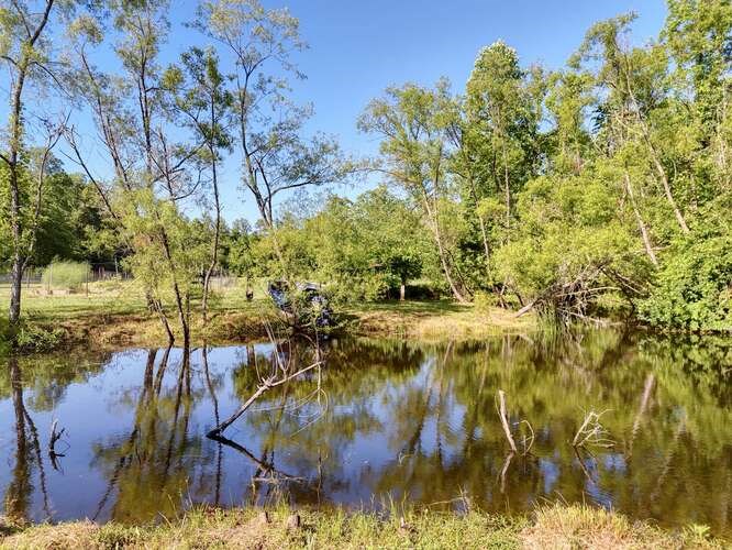 441 Foxfire Road Blairsville, GA 30512 - Photo 55 of 73