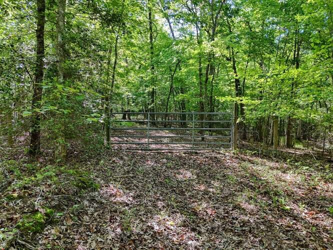 441 Foxfire Road Blairsville, GA 30512 - Photo 64 of 73 a backyard of a house with lots of green space