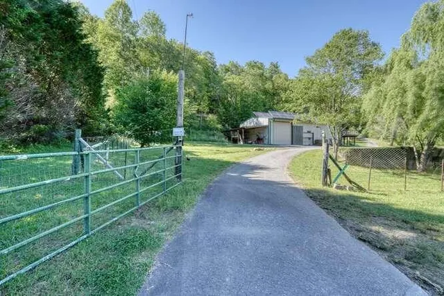 a view of a house with yard and a tree