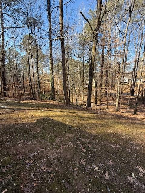 129 Summit Ridge Drive Southeast Cartersville, GA 30120 - Photo 9 of 27 Gallery Image 9