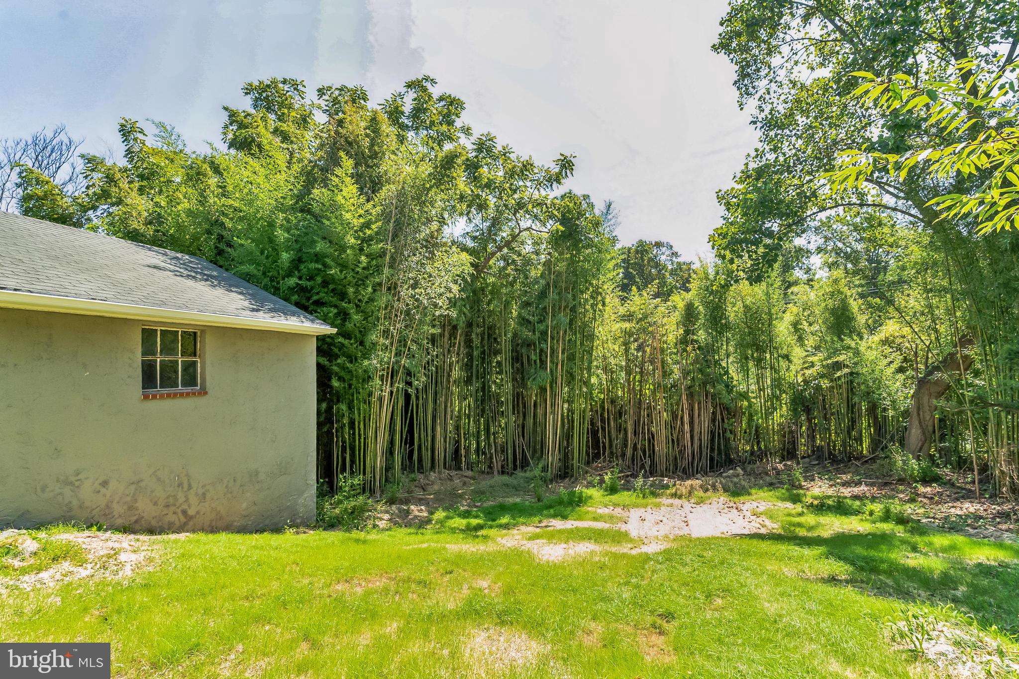 503 Old State Road Media, PA 19063 - Photo 48 of 53 Rear Yard