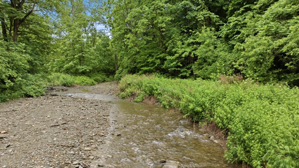 6070 Italy Valley Road Italy, NY 14512 - Photo 3 of 19