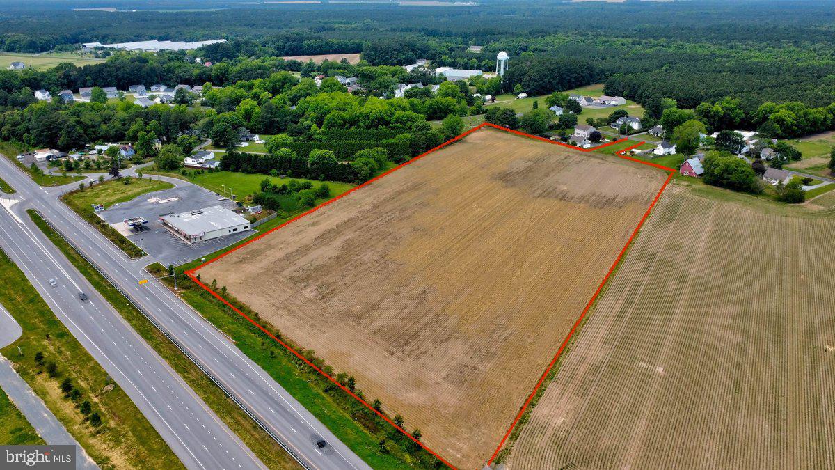 a view of a backyard with plants