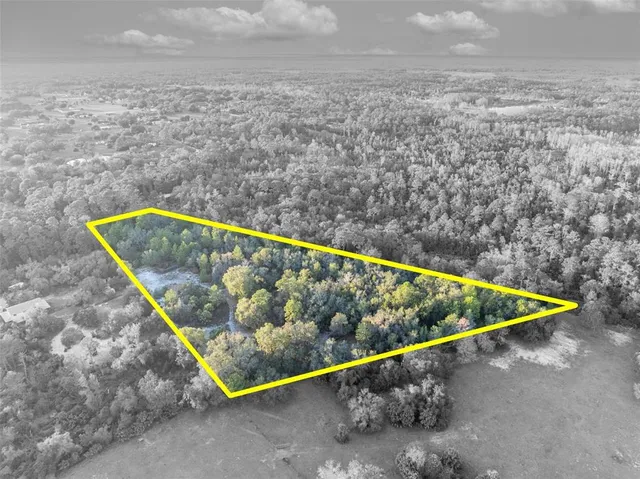 a view of a swimming pool with an outdoor space