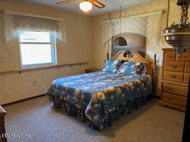 4754 Douglas Dam Road Strawberry Plains, TN 37871 - Photo 16 of 31 IMG_3279 - Copy