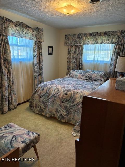 4754 Douglas Dam Road Strawberry Plains, TN 37871 - Photo 19 of 31 IMG_3278 - Copy