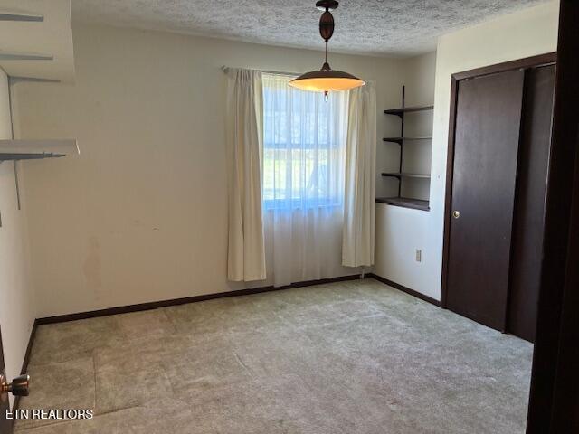 4754 Douglas Dam Road Strawberry Plains, TN 37871 - Photo 20 of 31 IMG_3286 - Copy