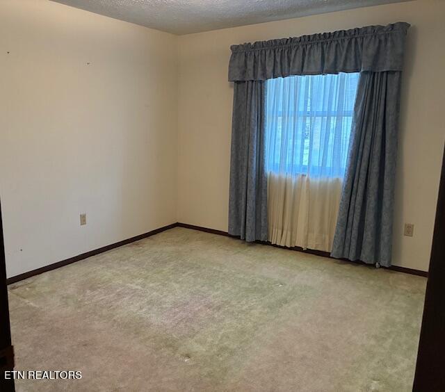 4754 Douglas Dam Road Strawberry Plains, TN 37871 - Photo 21 of 31 IMG_3326