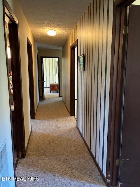 4754 Douglas Dam Road Strawberry Plains, TN 37871 - Photo 22 of 31 IMG_3283 - Copy