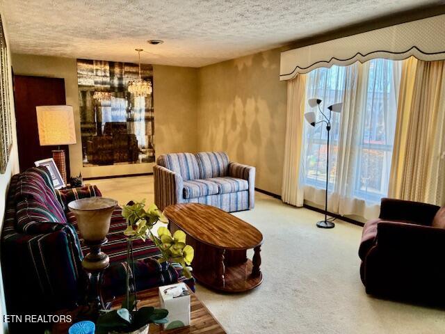 4754 Douglas Dam Road Strawberry Plains, TN 37871 - Photo 7 of 31 IMG_3297