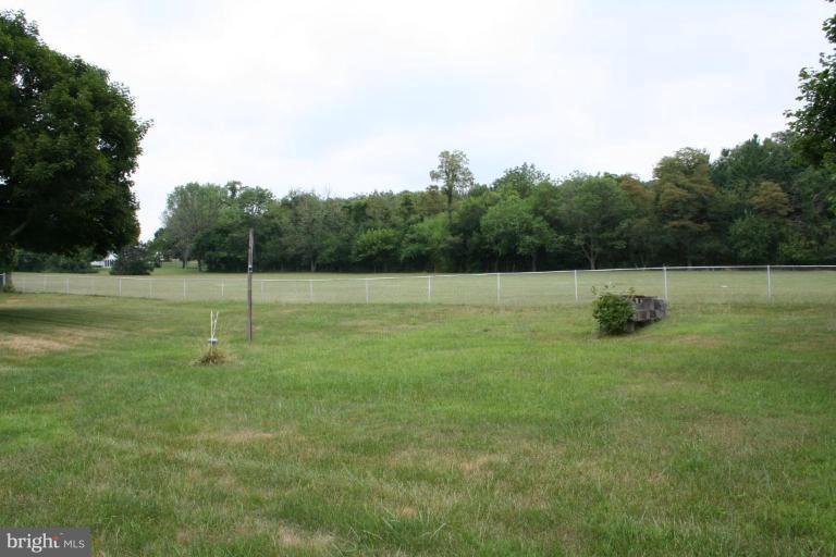 7317 Ridge Road Frederick, MD 21702 - Photo 7 of 11 a view of a tree in a field