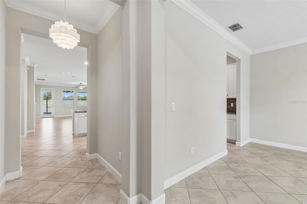 25057 Lambrusco Loop Lutz, FL 33559 - Photo 6 of 50