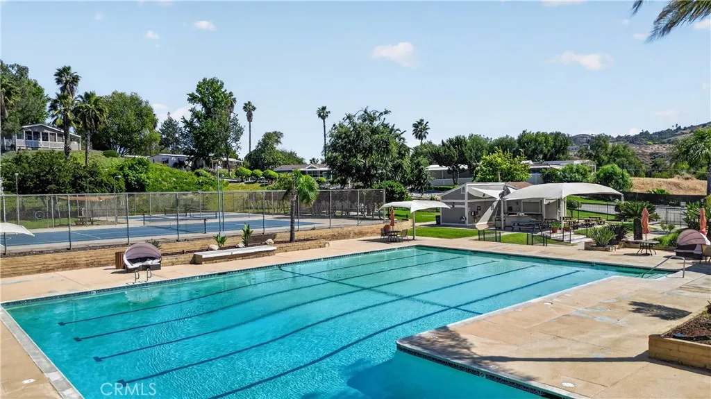 15181 Van Buren, Unit 114 Riverside, CA 92504 - Photo 47 of 52 a view of a swimming pool with lawn chairs plants and large tree