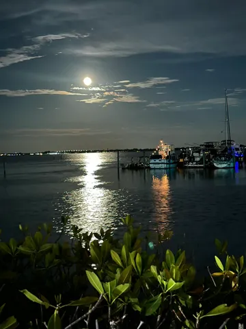 $5,250 | 815 Northwest Flagler Avenue, Unit 206, Stuart, FL 34994