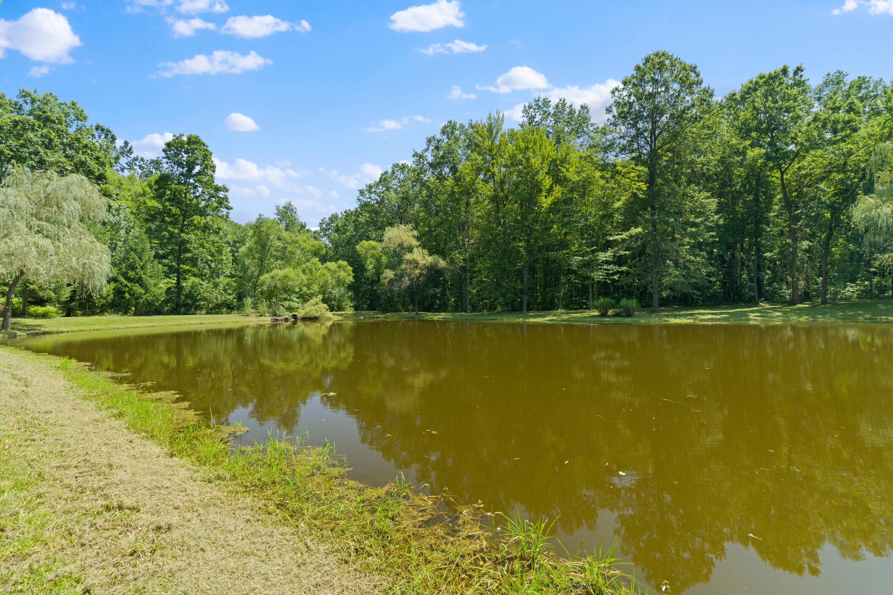 5455 Plantation Road Sunbury, OH 43074 - Photo 157 of 176 Stocked Pond