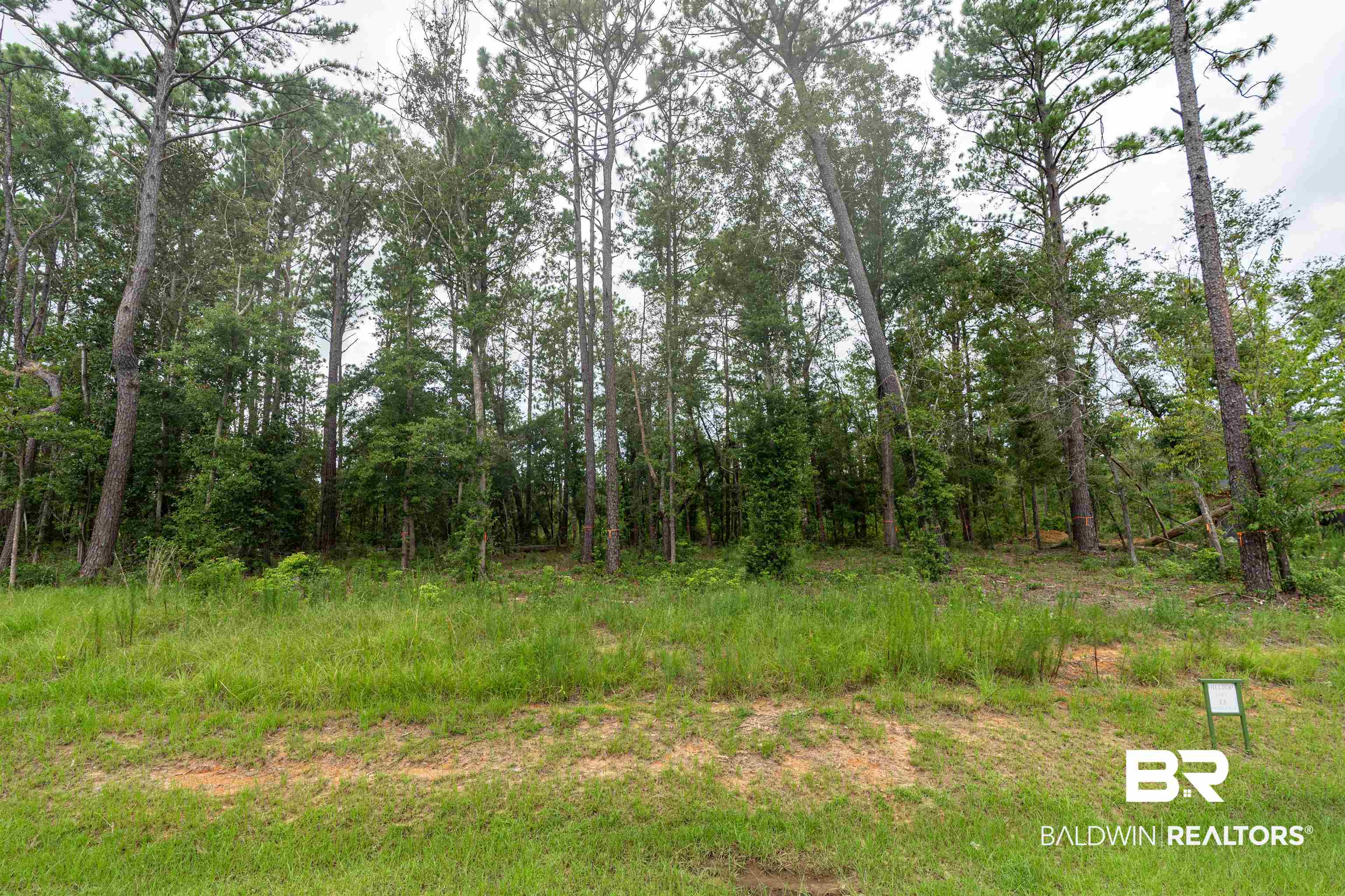 Lot 13 Petiole Drive Fairhope, AL 36532 - Photo 7 of 15