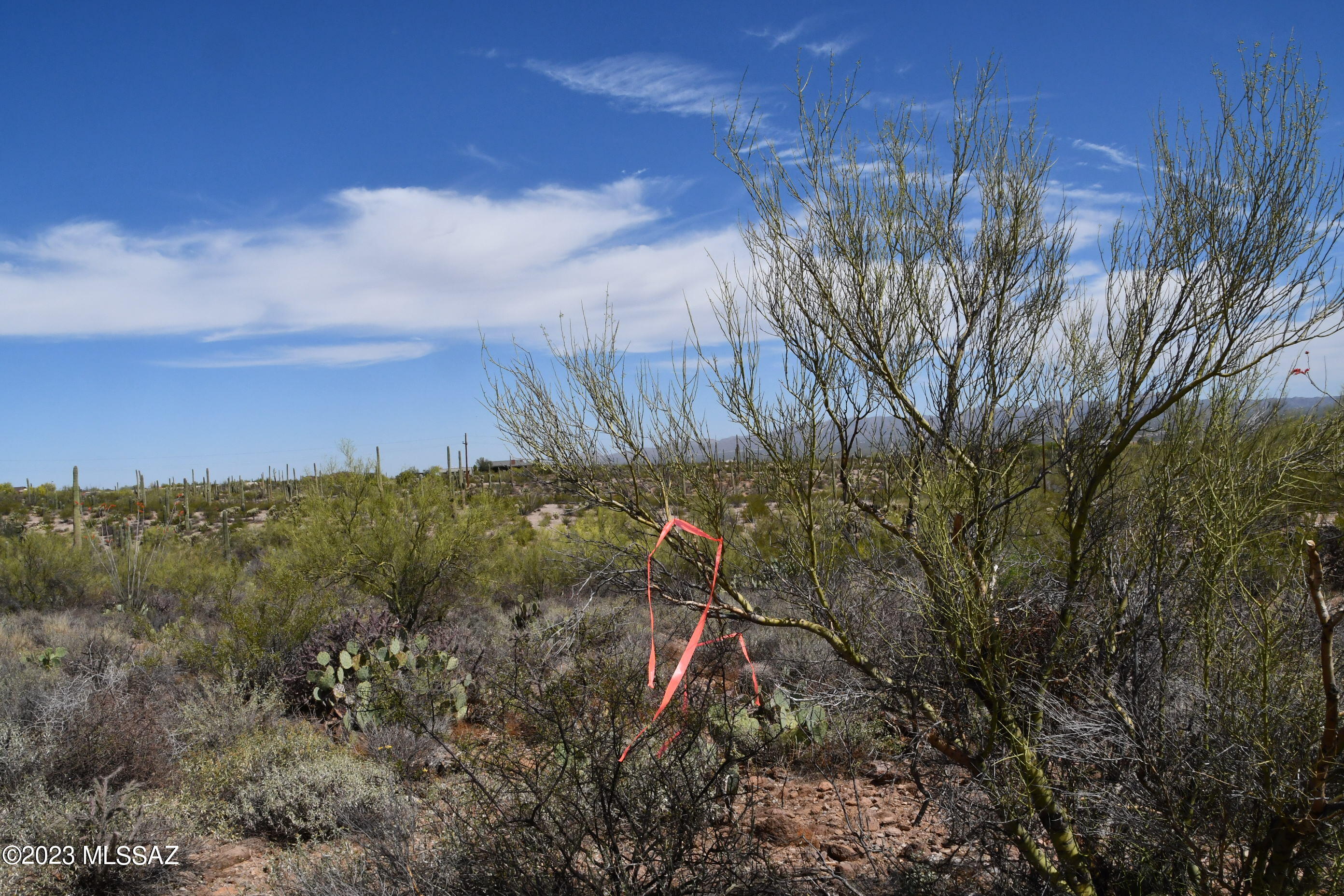 Yuma Mine Road Tucson, AZ 85743 - Photo 33 of 42 Gallery Image 33