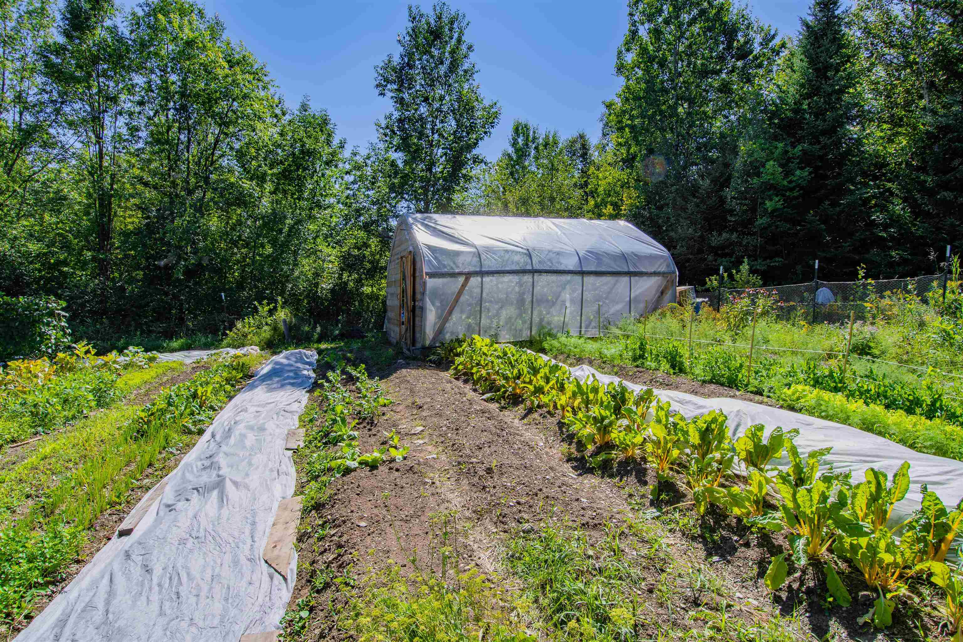 1934 Hallstrom Road Northfield, VT 05663 - Photo 17 of 40