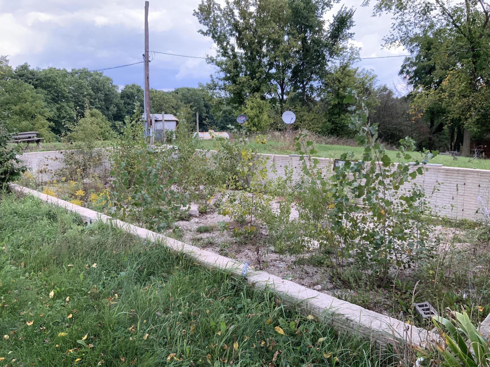 8725 Ross Road Muir, MI 48860 - Photo 39 of 53 158F213E-2B9D-46FC-B60F-8C4A52BE9AD9