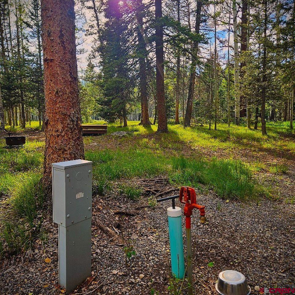 160 Lake Road Cimarron, CO 81220 - Photo 11 of 16