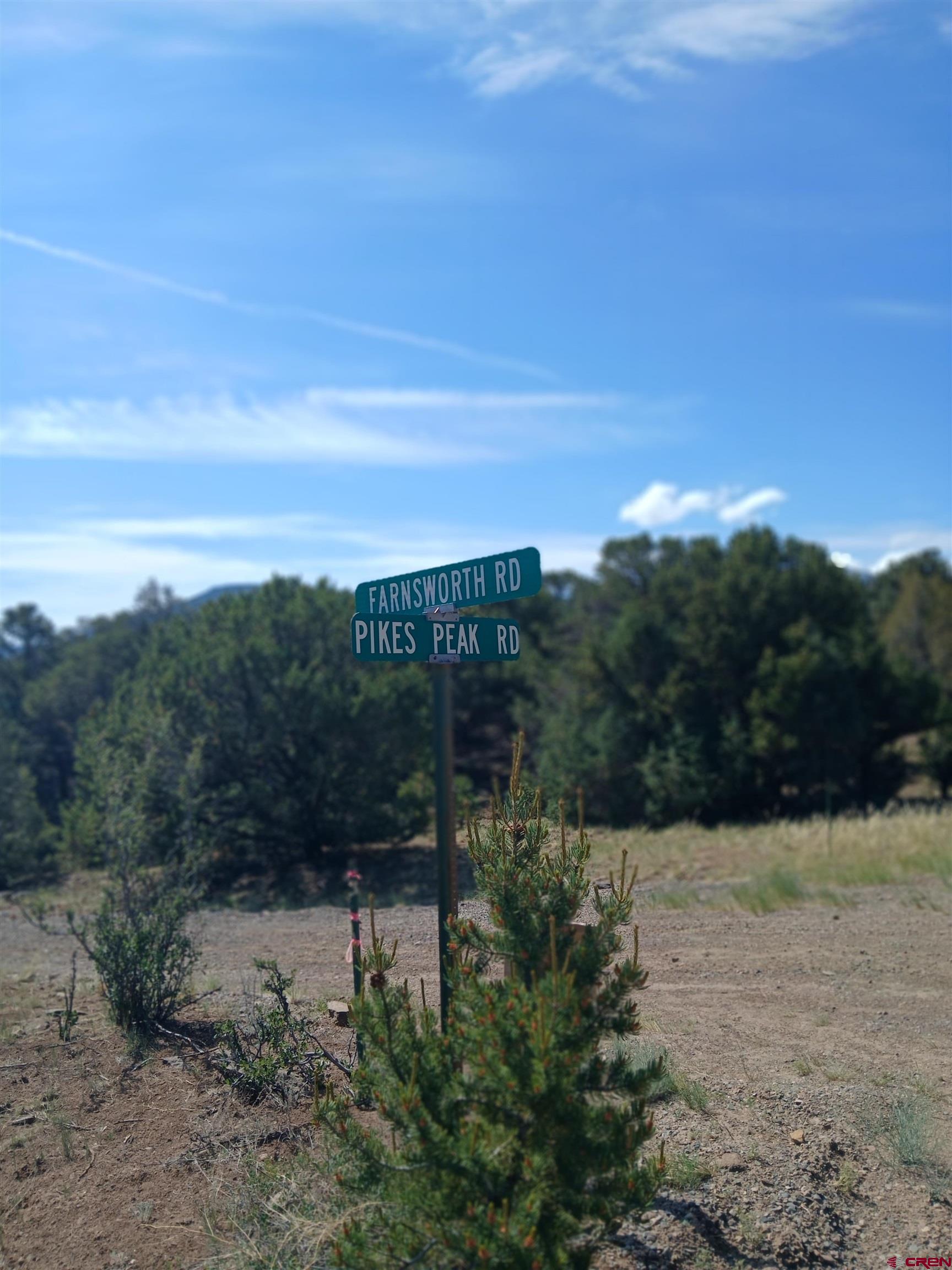 555 Aspen Road South Fork, CO 81154 - Photo 11 of 15 a view of a yard with wooden fence
