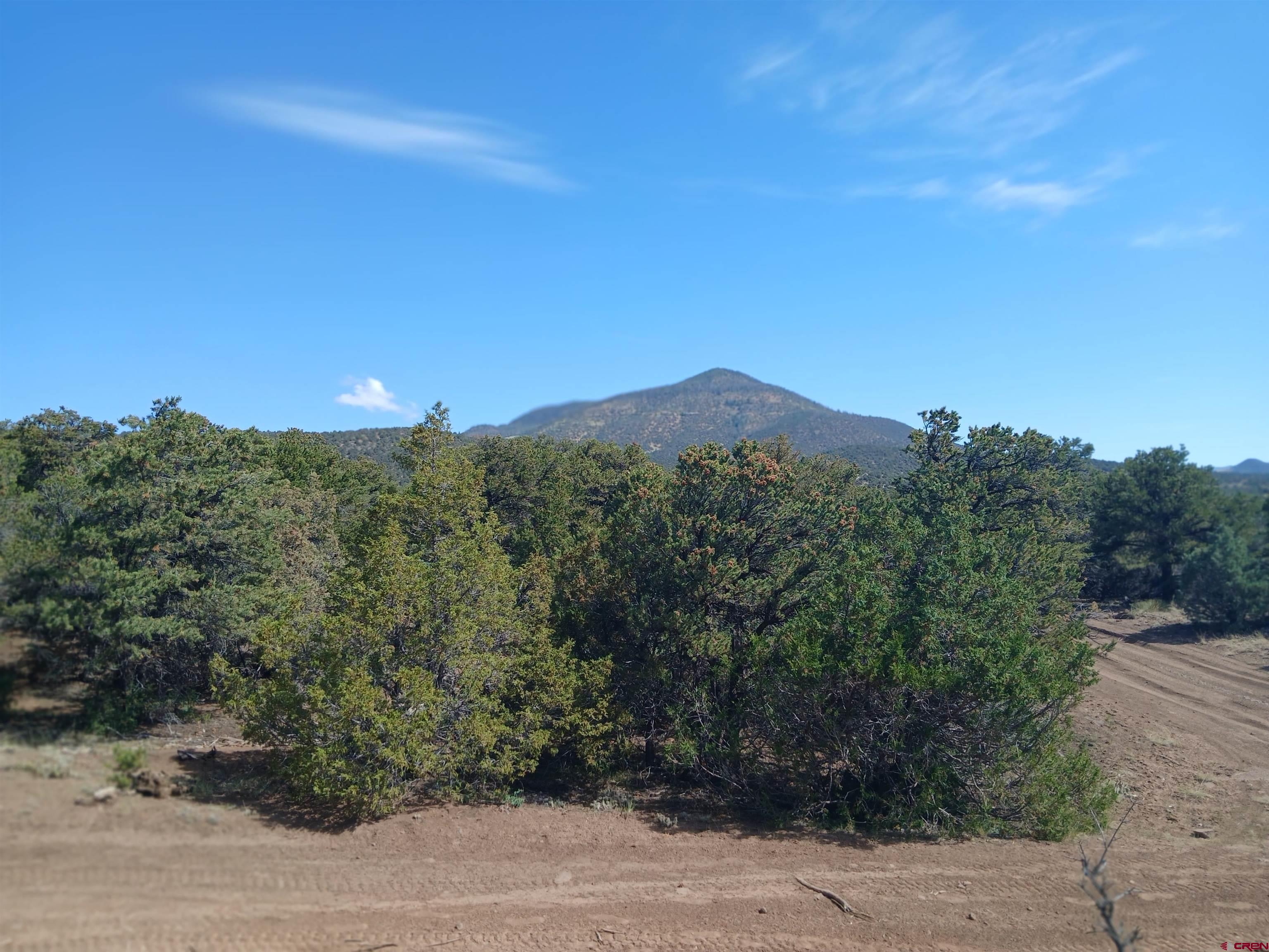 555 Aspen Road South Fork, CO 81154 - Photo 7 of 15 a view of a mountain range with trees in the background