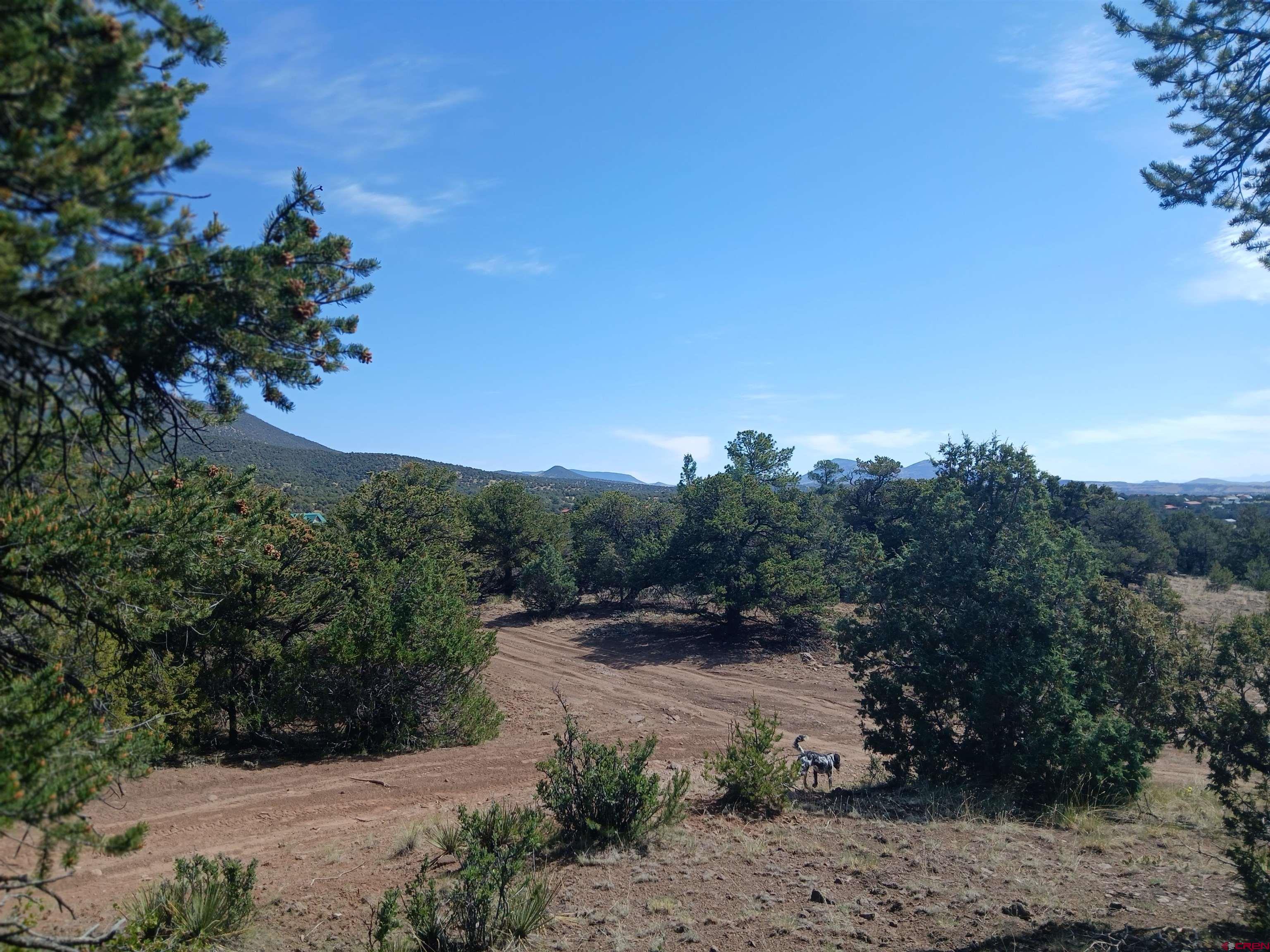 555 Aspen Road South Fork, CO 81154 - Photo 8 of 15 a view of a street with a tree in the background