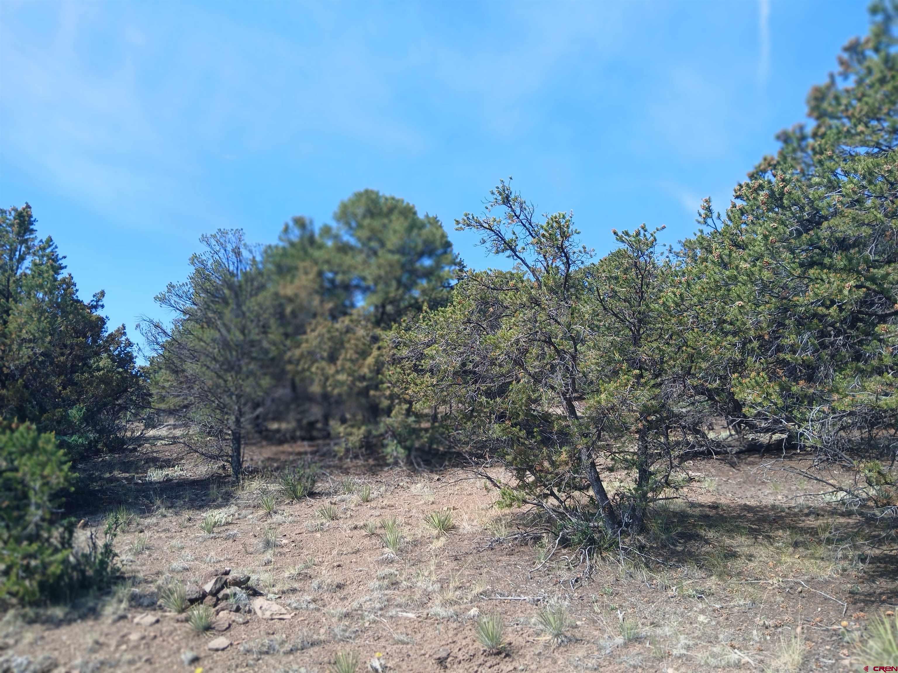 555 Aspen Road South Fork, CO 81154 - Photo 10 of 15