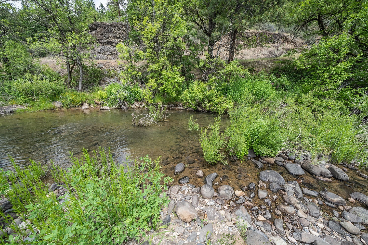 555 Old Trail Creek Road Trail, OR 97541 - Photo 38 of 38 38