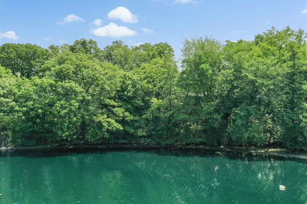 $699,000 | 910 St Stephens Green, Oak Brook, IL 60523