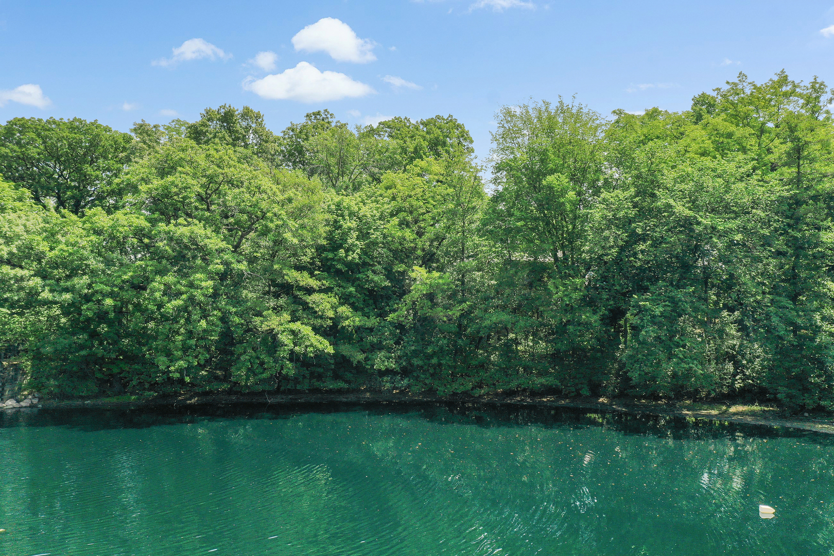 910 St Stephens Green Oak Brook, IL 60523 - Photo 3 of 7