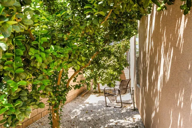 a view of a backyard with plants and patio