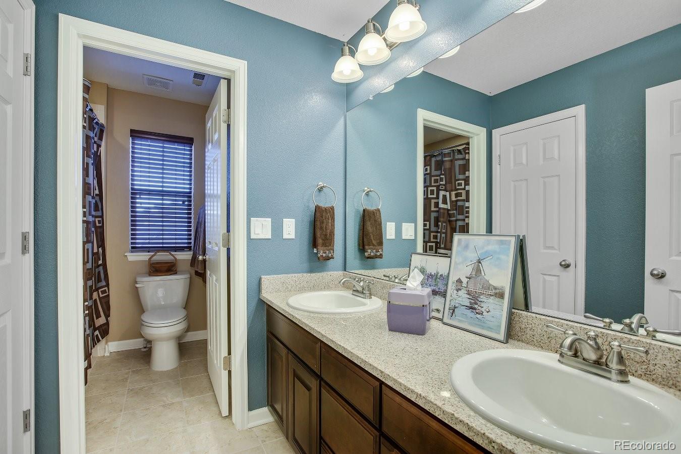 10537 Skyreach Road Highlands Ranch, CO 80126 - Photo 17 of 35 Gallery Image 17