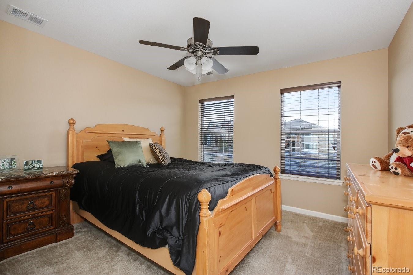 10537 Skyreach Road Highlands Ranch, CO 80126 - Photo 19 of 35 Gallery Image 19