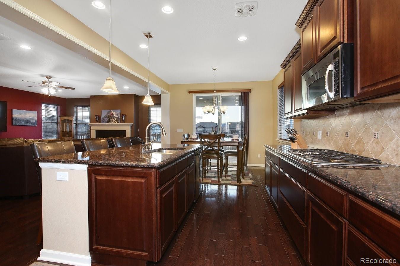 10537 Skyreach Road Highlands Ranch, CO 80126 - Photo 6 of 35 Gallery Image 6