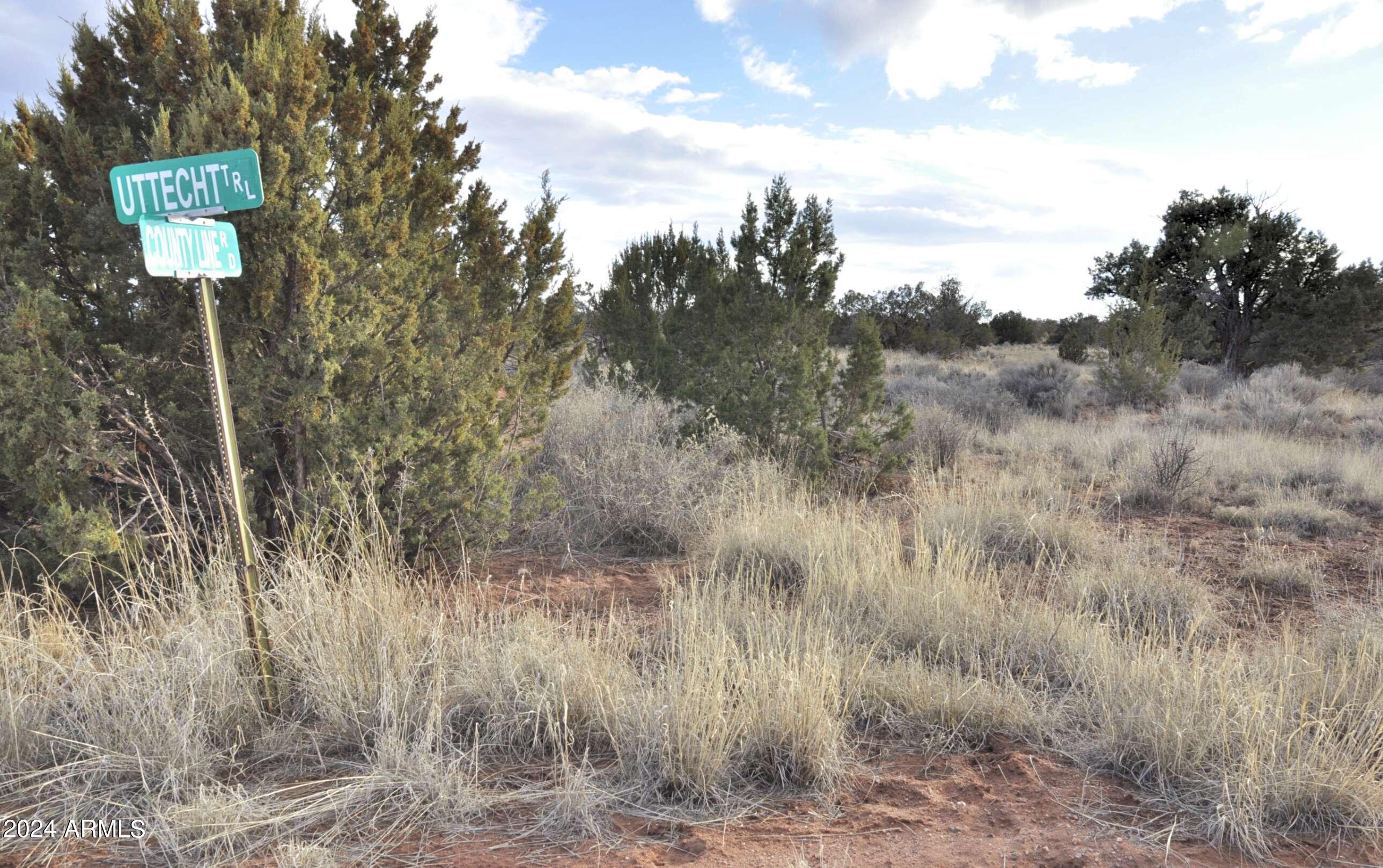 5462 County Line Road, Unit 8 Snowflake, AZ 85937 - Photo 3 of 19 2
