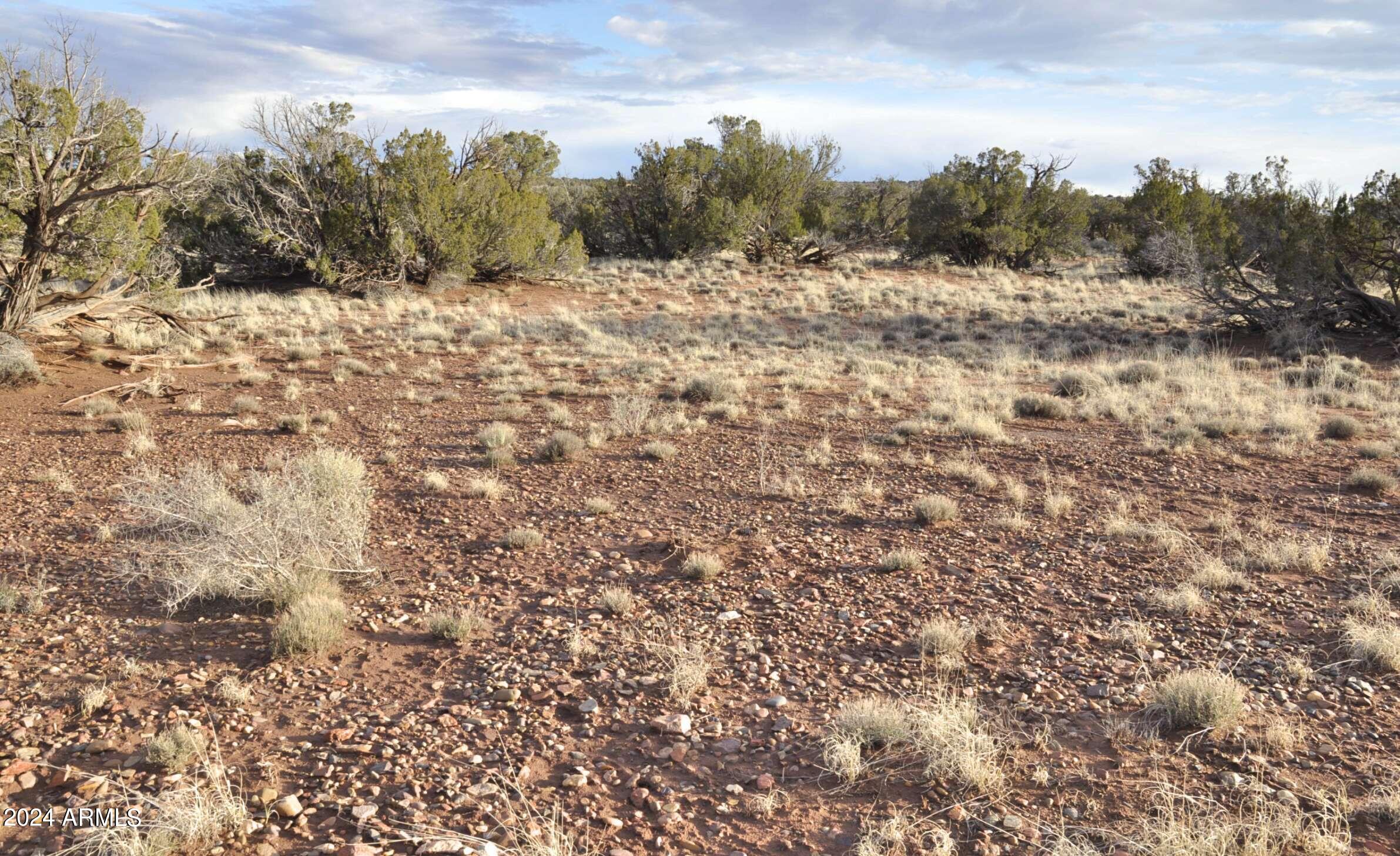 5462 County Line Road, Unit 8 Snowflake, AZ 85937 - Photo 8 of 19 7