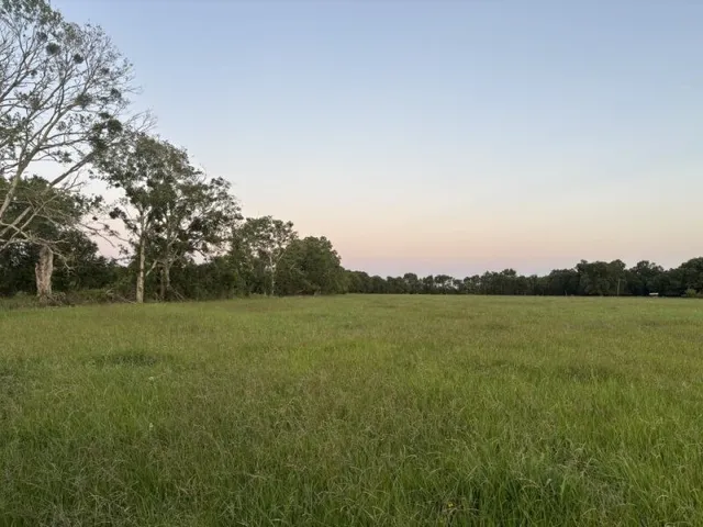 a view of a field with an ocean