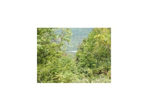 Lot 1 Puma Ridge Galena, MO 65656 - Photo 1 of 1 Primary Photo