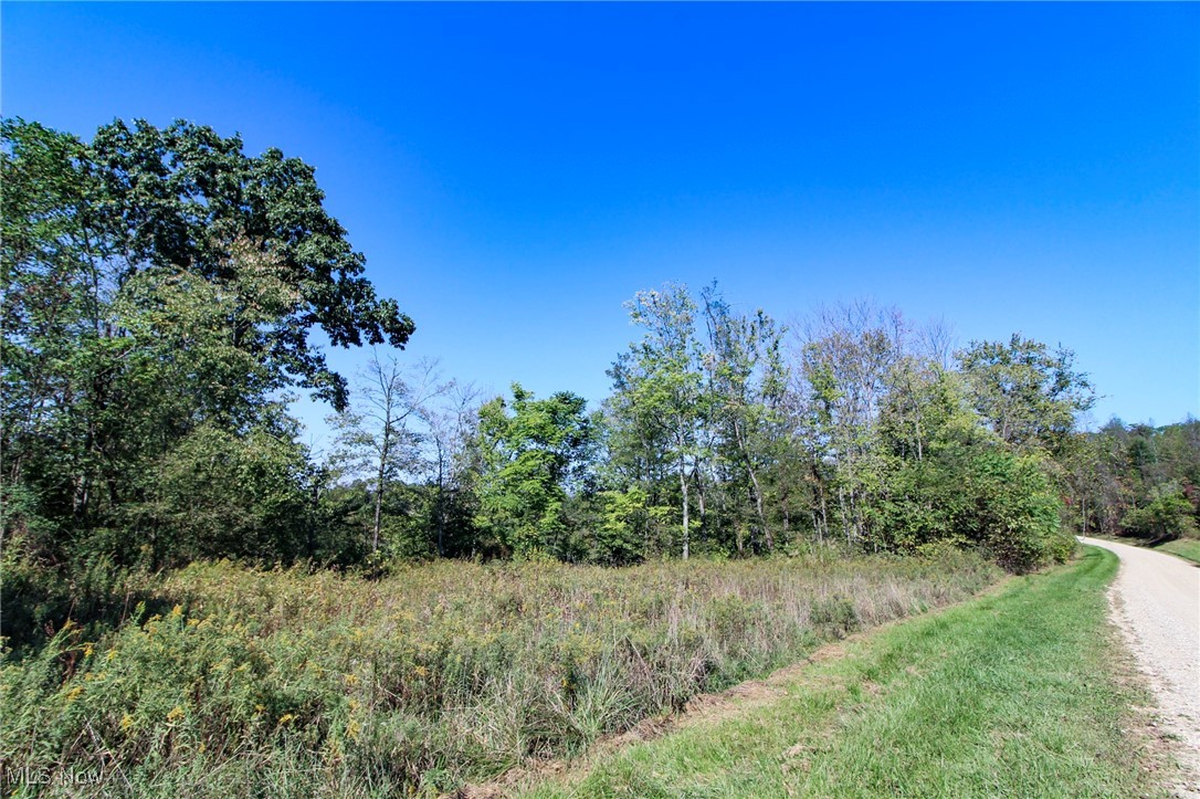 Lot 3 Moss Run Road Marietta, OH 45750 - Photo 8 of 14 View of wooded area