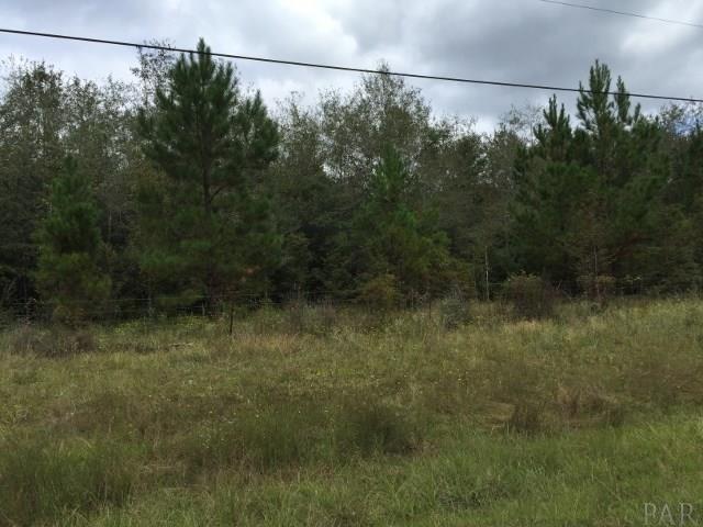 4664 Wilderness Road Vernon, FL 32462 - Photo 1 of 15