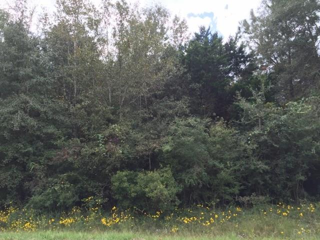 4664 Wilderness Road Vernon, FL 32462 - Photo 3 of 15