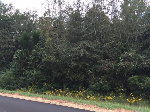 4664 Wilderness Road Vernon, FL 32462 - Photo 4 of 15