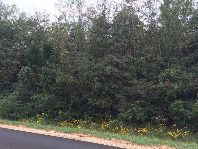 4664 Wilderness Road Vernon, FL 32462 - Photo 5 of 15