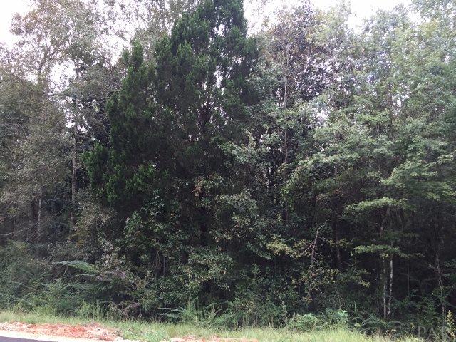 4664 Wilderness Road Vernon, FL 32462 - Photo 8 of 15