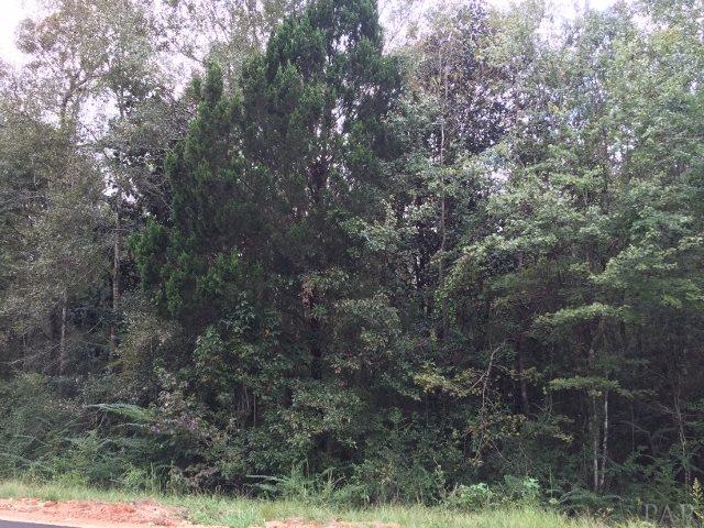 4664 Wilderness Road Vernon, FL 32462 - Photo 9 of 15