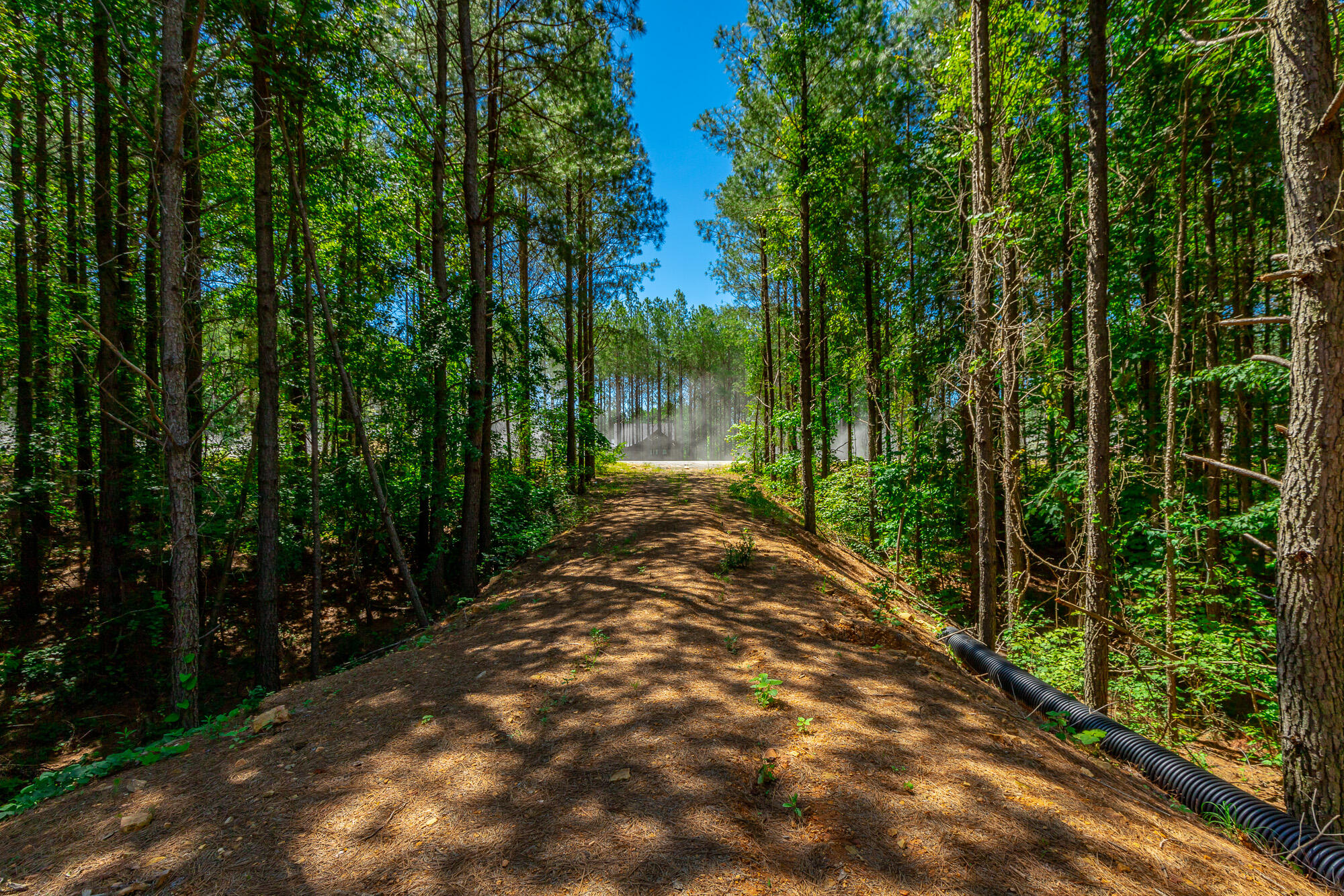 0 Split Rail Way, Unit LOT 1163 Guild, TN 37340 - Photo 1 of 118 River Gorge Lot 1163 HD-25