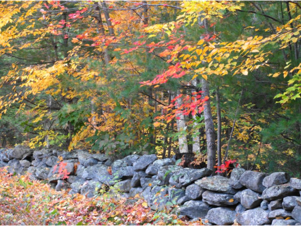 16 Baptist Hill Road Canterbury, NH 03224 - Photo 25 of 25 Gallery Image 25
