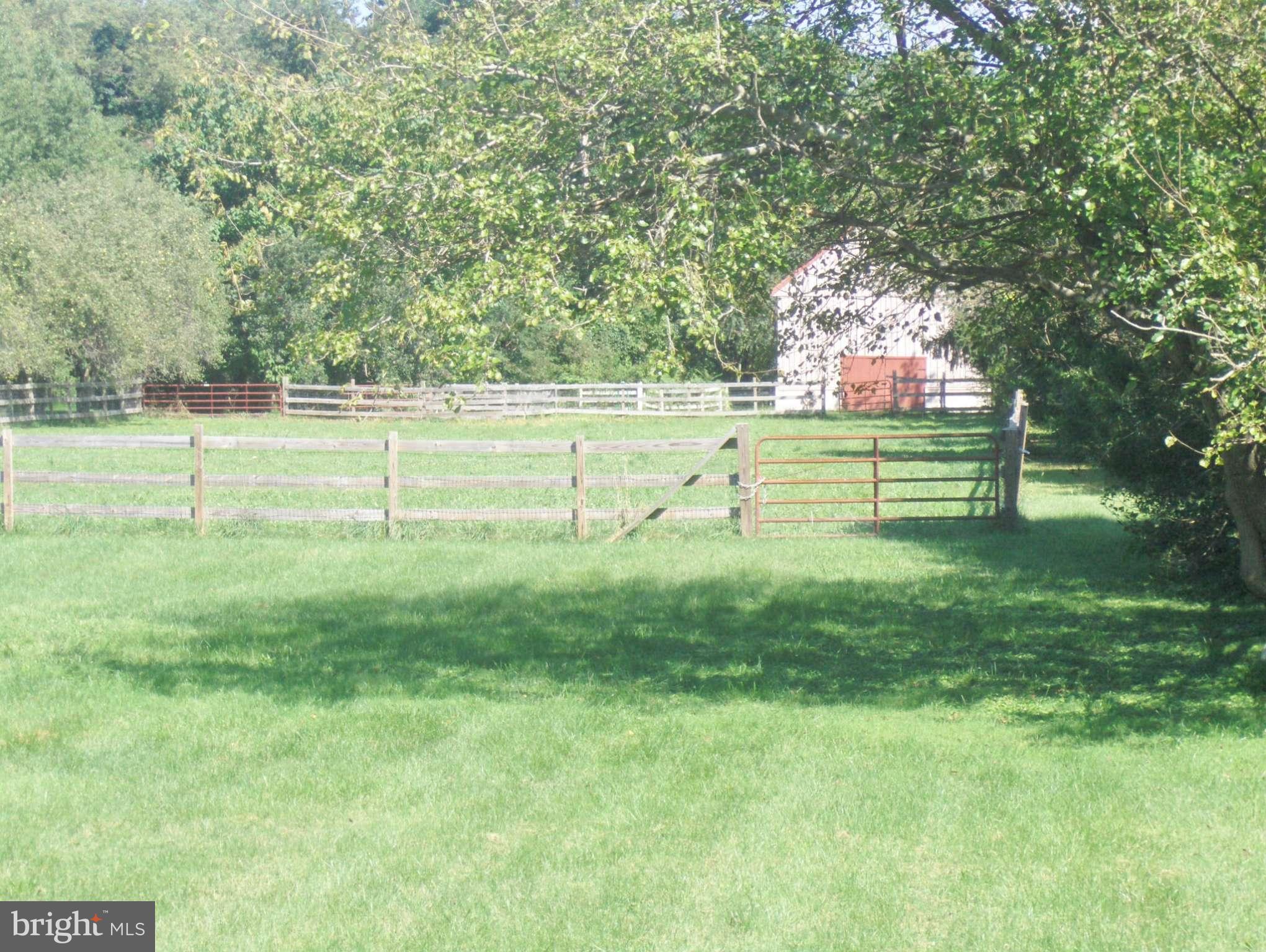 4957 Muddy Creek Road West River, MD 20778 - Photo 19 of 29 a view of garden with trees