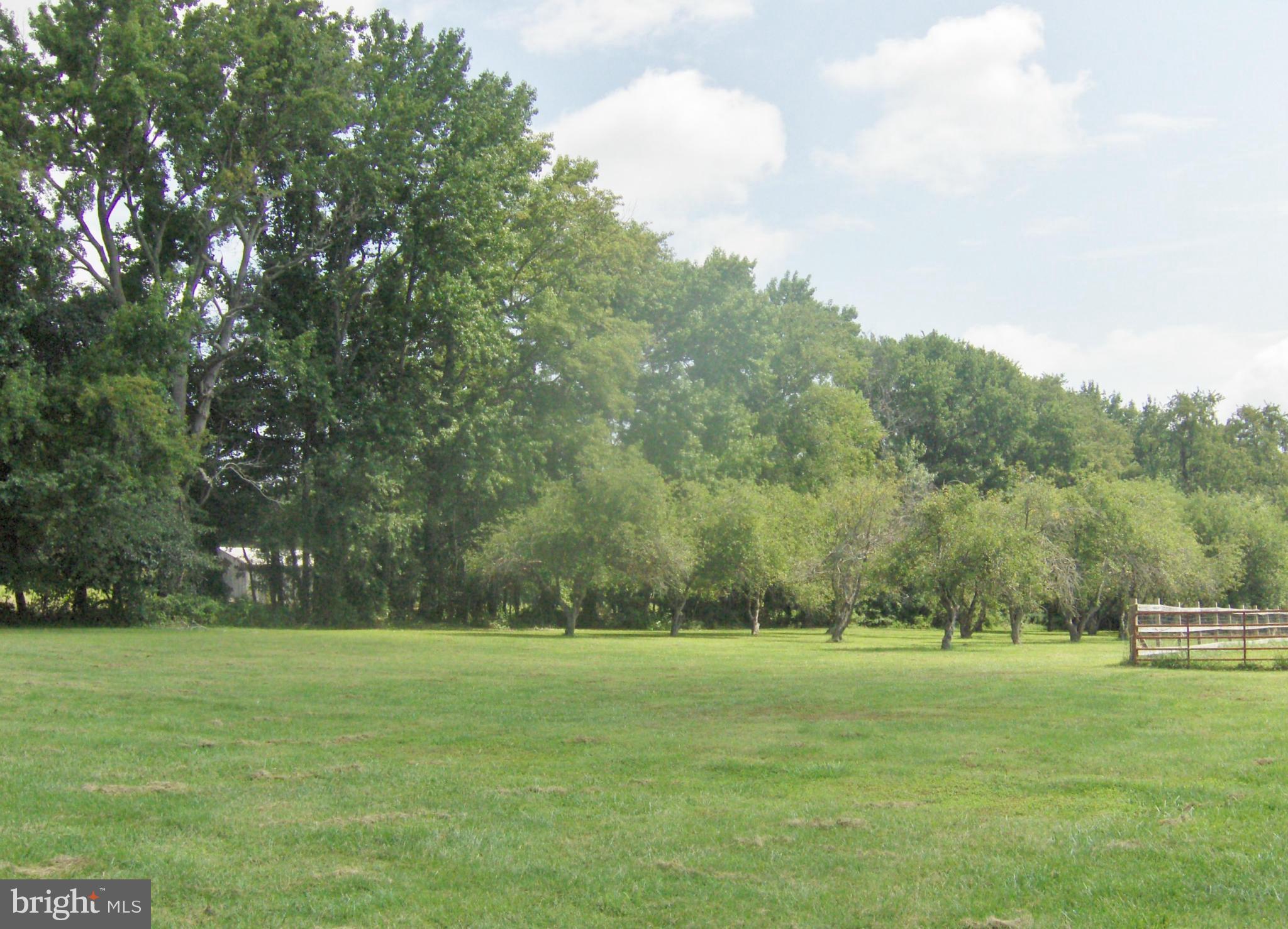 4957 Muddy Creek Road West River, MD 20778 - Photo 20 of 29 a view of outdoor space with green field and trees